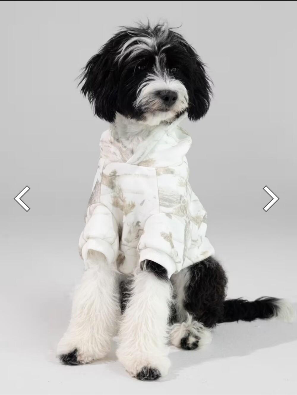 Comfrt Camo Paw Hoodie Medium